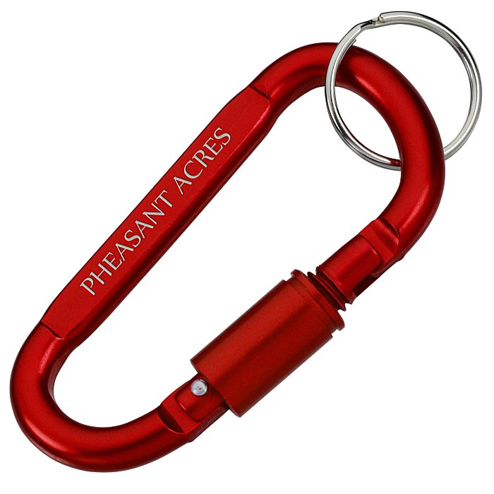 Custom Carabiner Lock Keychain