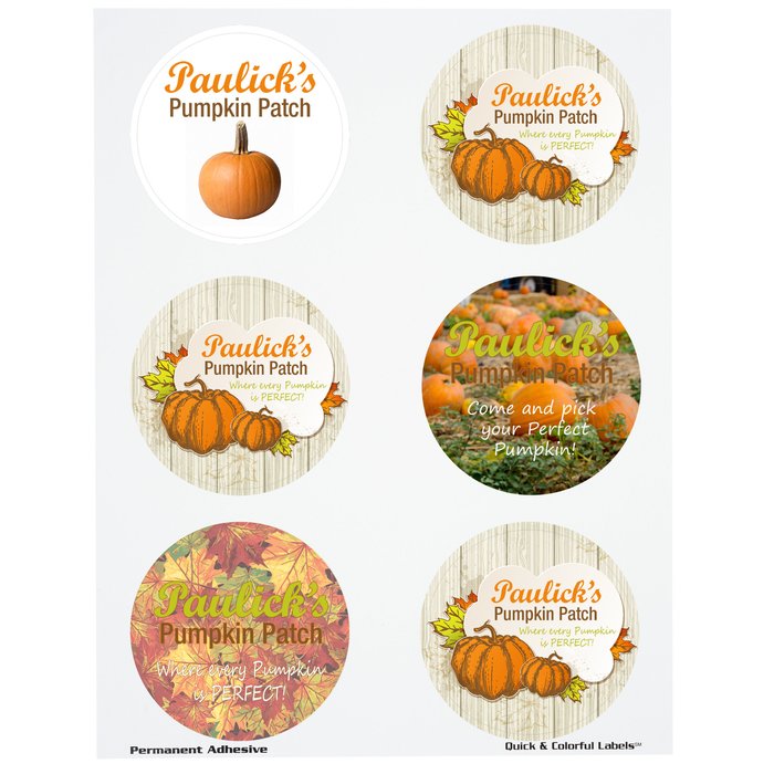 Custom Quick & Colourful Sheeted Label - Circle - 3