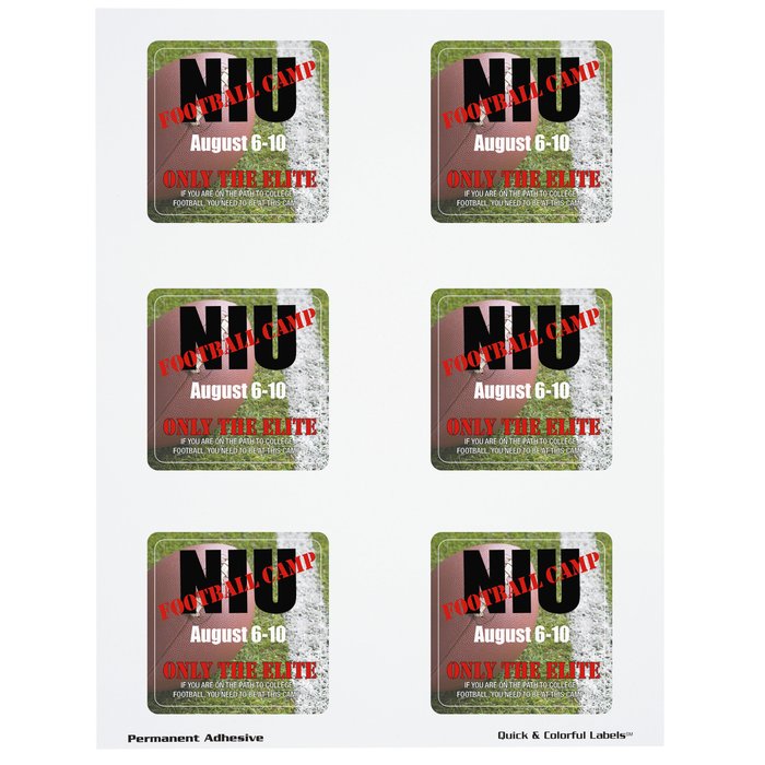 Custom Quick & Colourful Sheeted Label - Square - 2-1/2