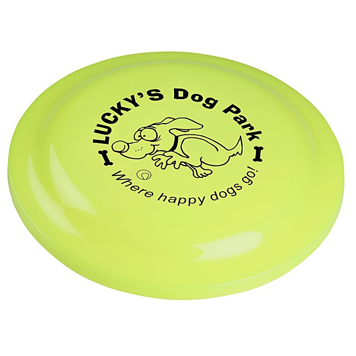 Custom Sun Fun Flyer